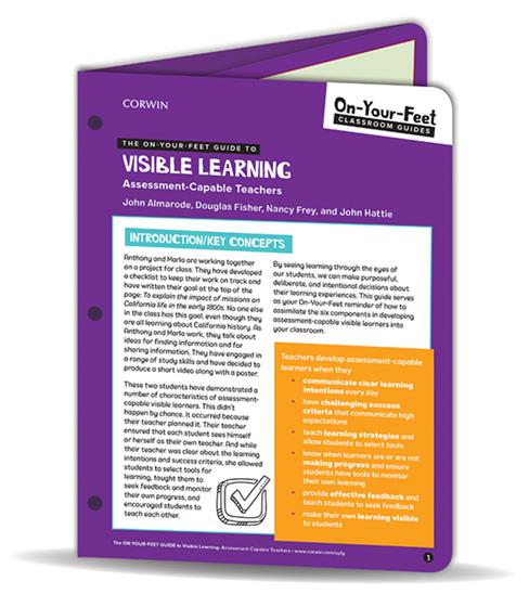 The On-Your-Feet Guide to Visible Learning - Book Cover