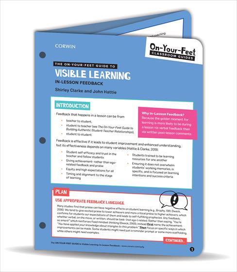 The On-Your-Feet Guide to Visible Learning book cover book cover