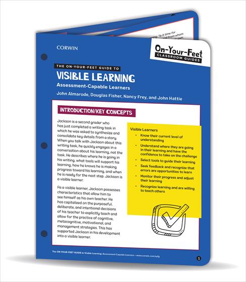 The On-Your-Feet Guide to Visible Learning - Book Cover