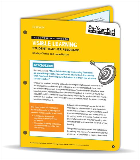 The On-Your-Feet Guide to Visible Learning book cover book cover