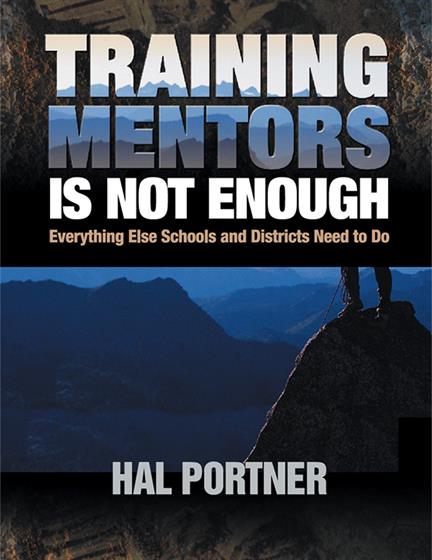 Training Mentors Is Not Enough - Book Cover