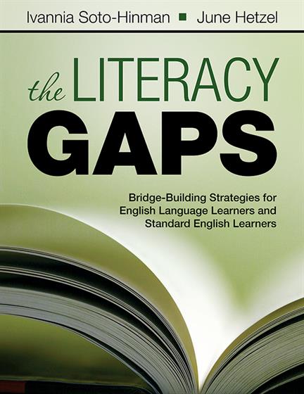 The Literacy Gaps - Book Cover
