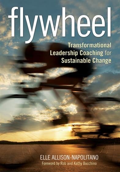 Flywheel - Book Cover