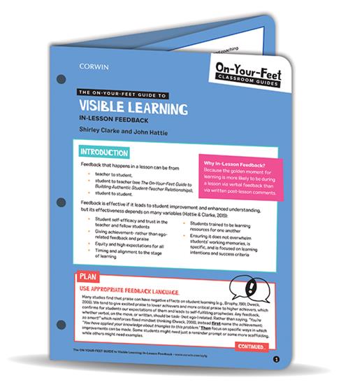 The On-Your-Feet Guide to Visible Learning - Book Cover