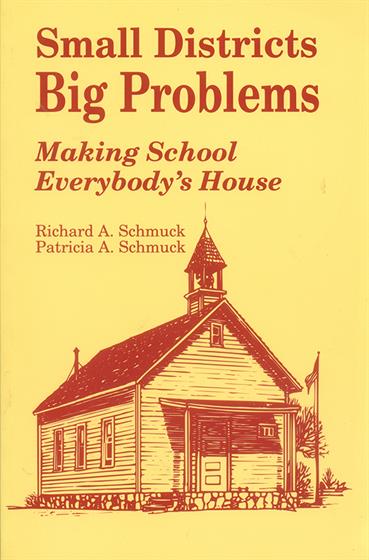 Small Districts, Big Problems - Book Cover